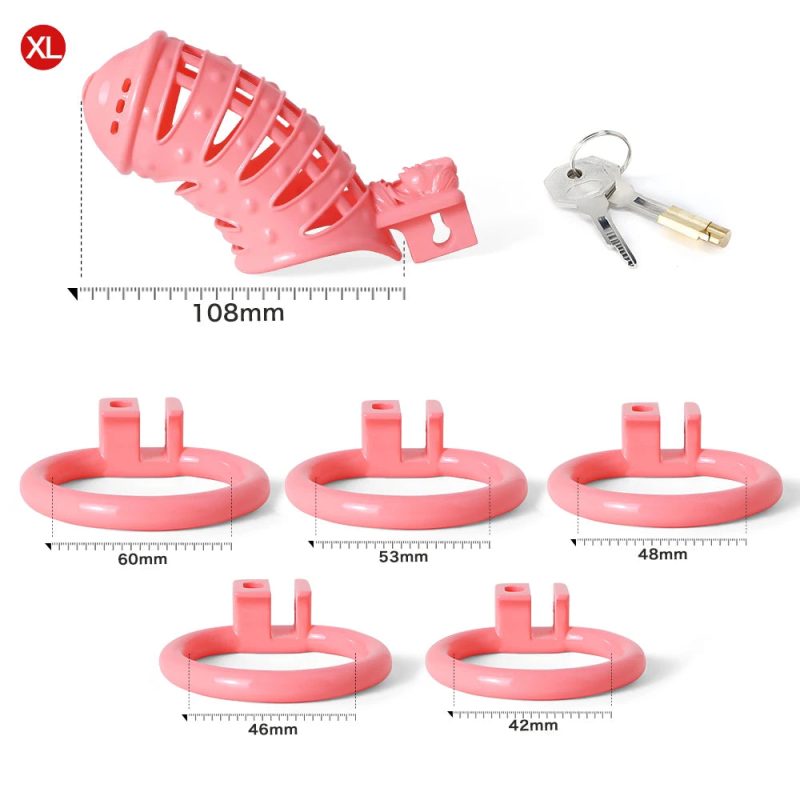 Pussy Vaginal 3D Printed BDSM Male Spiked Cock Cage For Sissy