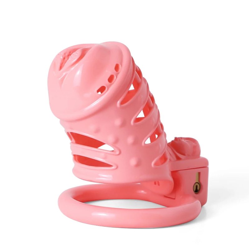 Pussy Vaginal 3D Printed BDSM Male Spiked Cock Cage For Sissy